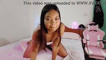 Thai Babe For You