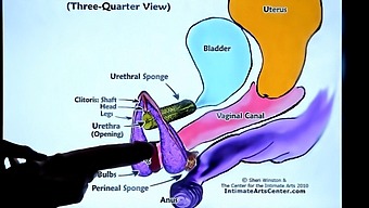European Tutor'S Lesson On Female Ejaculation